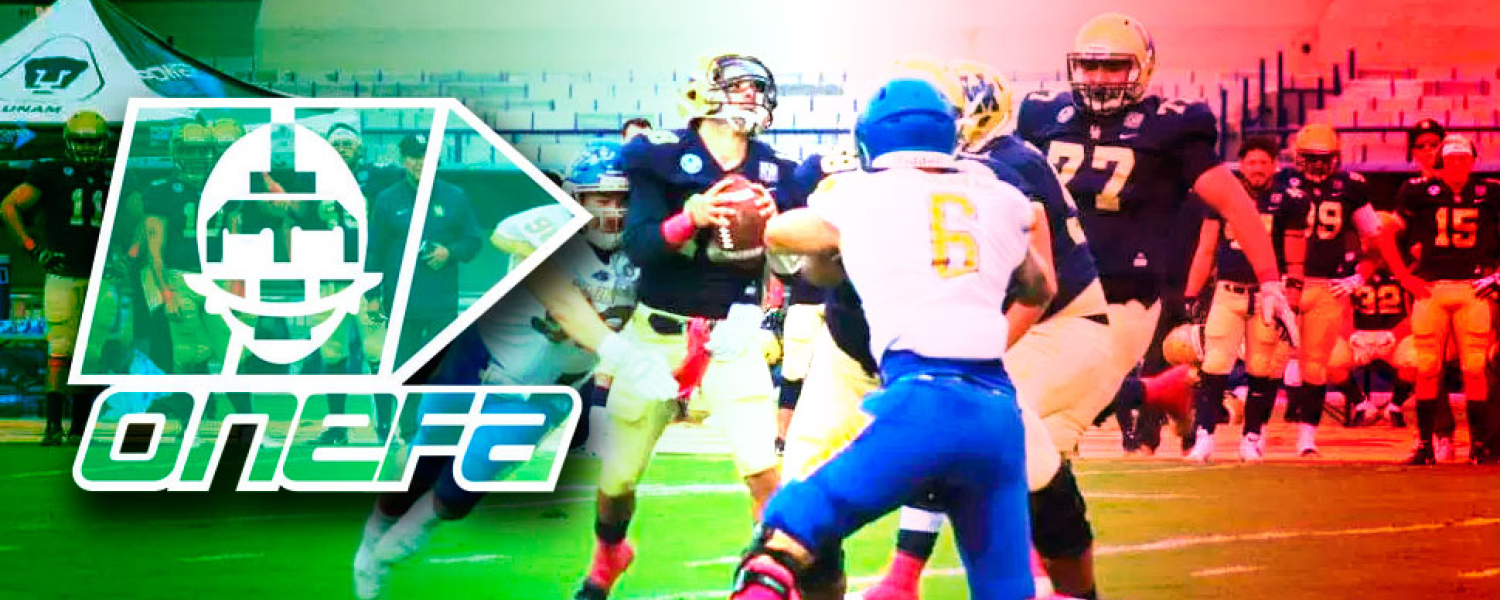 ¿Cómo es el modelo de la ONEFA?