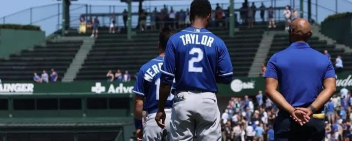 Twins obtienen nuevo jardinero