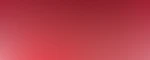Los Diablos Rojos en las diversas categorías de la Liga MX