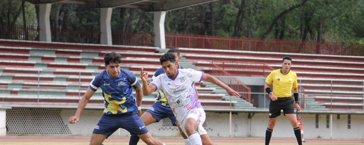 La 'Ola Morada' sumó en su visita a CDMX