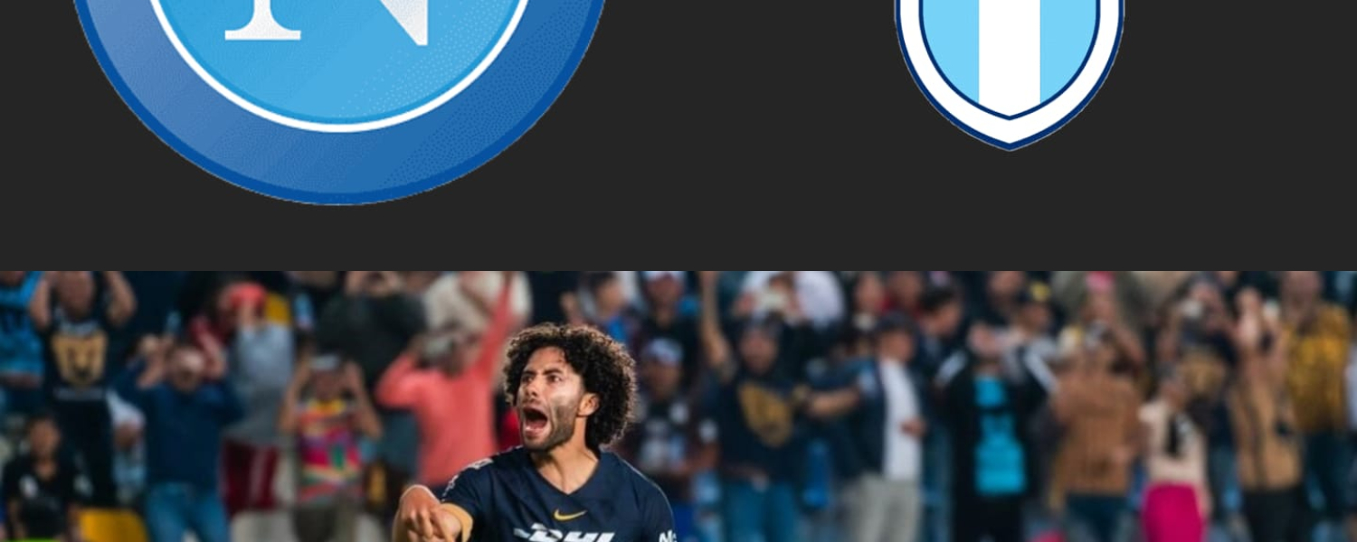 Oferta por el chino huerta